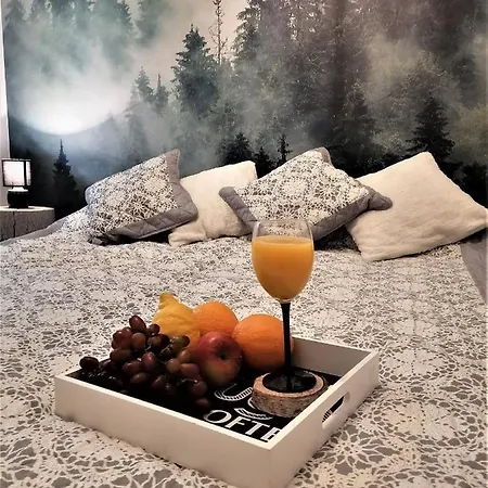 Daire Dobranocka Poronin